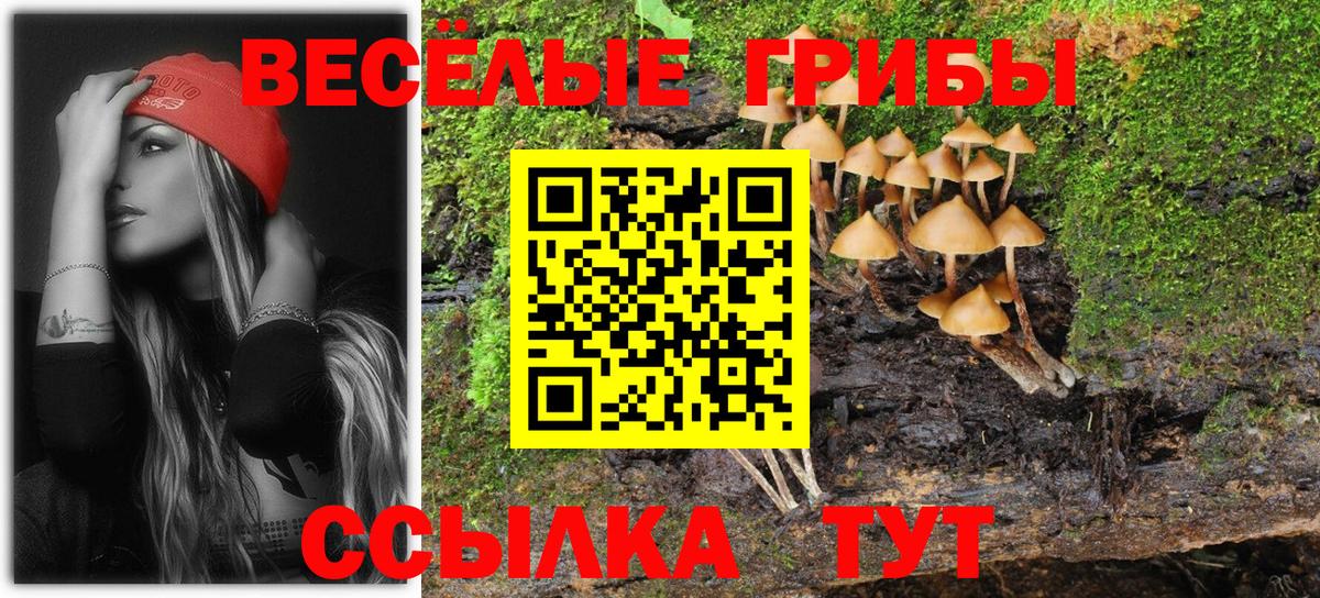 Галлюциногенные грибы Psilocybine cubensis  Вход с VPN  Галлюциногенные грибы Magic Shrooms  Тимашёвск 